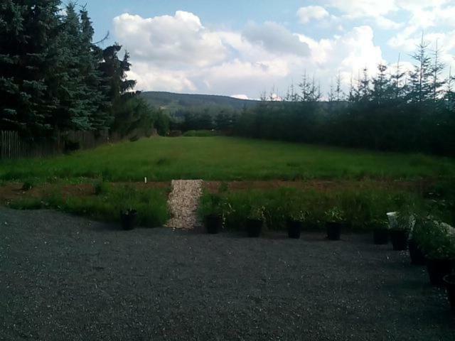U Novych Pratel Hotel Lichkov Luaran gambar